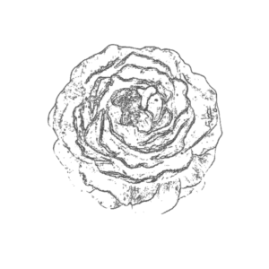 Flower Candle