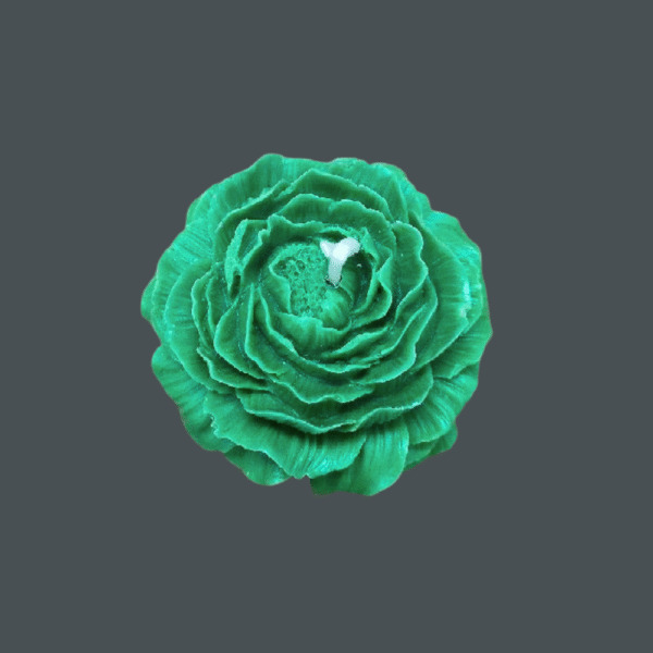 Peony Flower