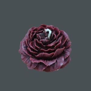 Peony Flower