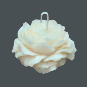 Peony Flower