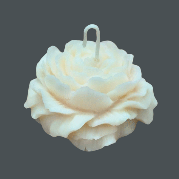 Peony Flower
