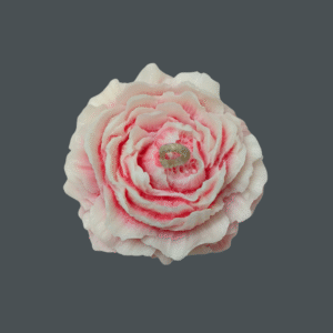 Peony Flower Candle Double Color
